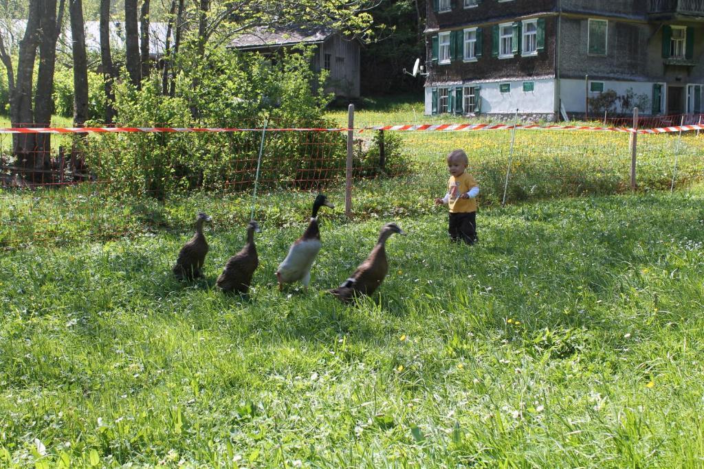 Ferienwohnungen Sutter Au (Vorarlberg) Zewnętrze zdjęcie