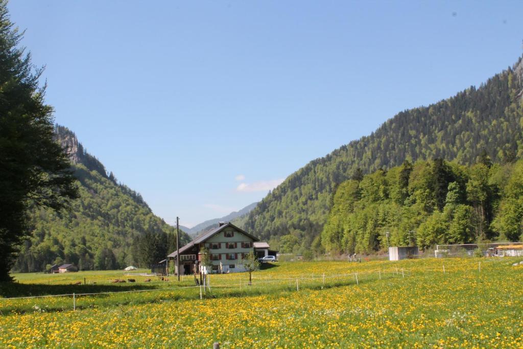 Ferienwohnungen Sutter Au (Vorarlberg) Zewnętrze zdjęcie